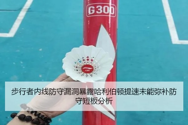 步行者内线防守漏洞暴露哈利伯顿提速未能弥补防守短板分析