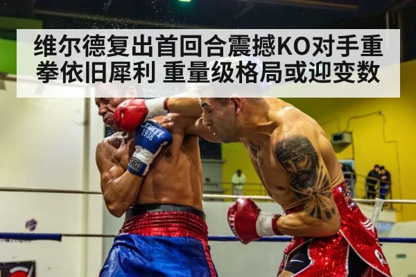 维尔德复出首回合震撼KO对手重拳依旧犀利 重量级格局或迎变数