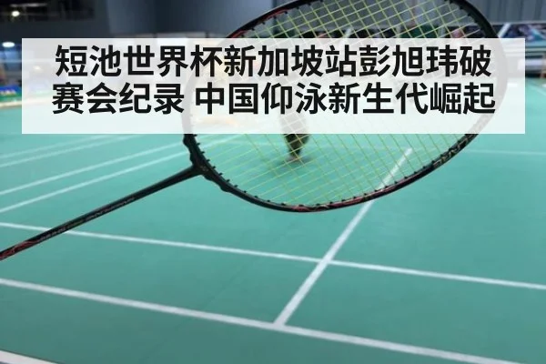 短池世界杯新加坡站彭旭玮破赛会纪录 中国仰泳新生代崛起