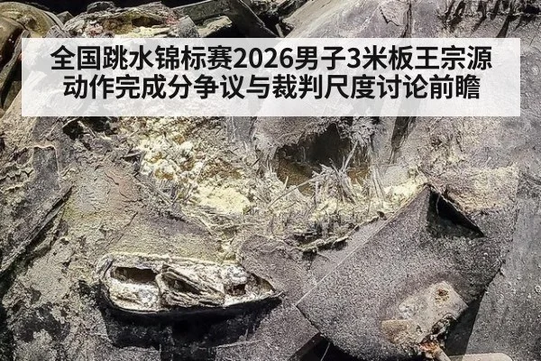 全国跳水锦标赛2026男子3米板王宗源动作完成分争议与裁判尺度讨论前瞻